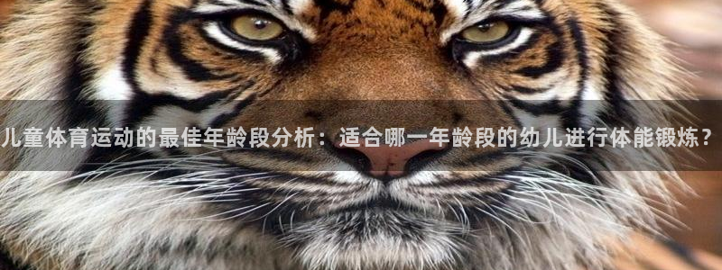 k1体育 十年品牌