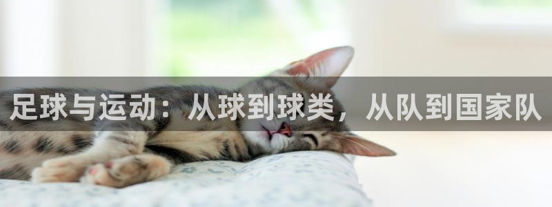 k1体育网址：足球与运动：从球到球类，从队到国家队