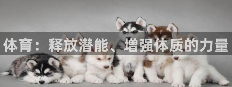 k1体育下载链接