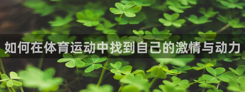 k1体育棋牌网址