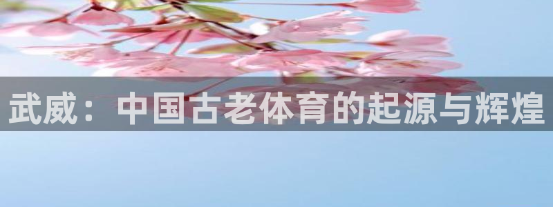 k1体育网址是多少