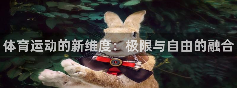 k1体育链接