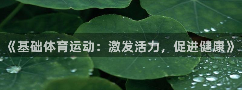 k1体育十年品牌官网：《基础体育运动：激发活力，促进健康》